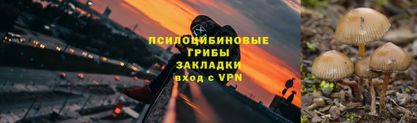 ECSTASY Липки