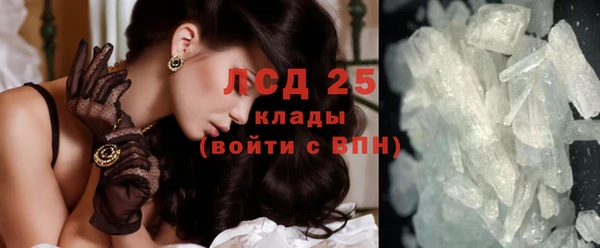 ECSTASY Липки